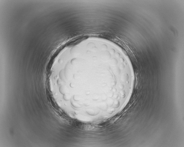 X0000114160346200911191230