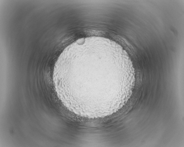 X0000114160377200911191230