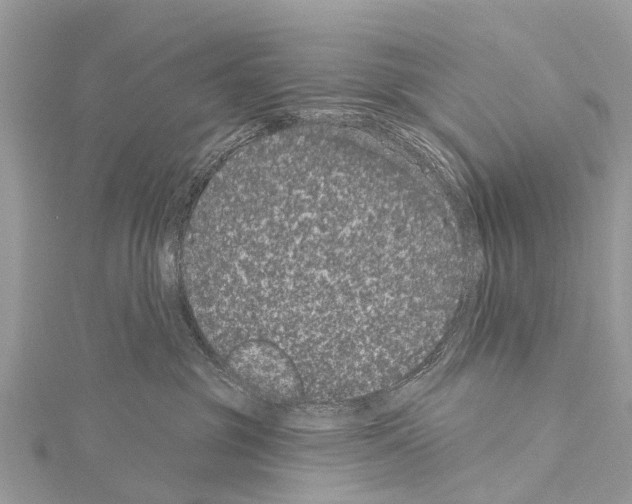 X0000114160381200911191230