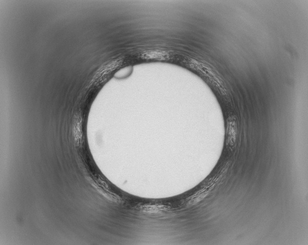 X0000114160408200911191229