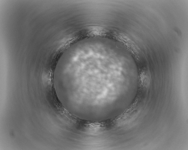 X0000114160423200911191229