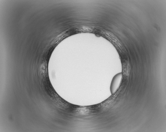 X0000114160425200911191229