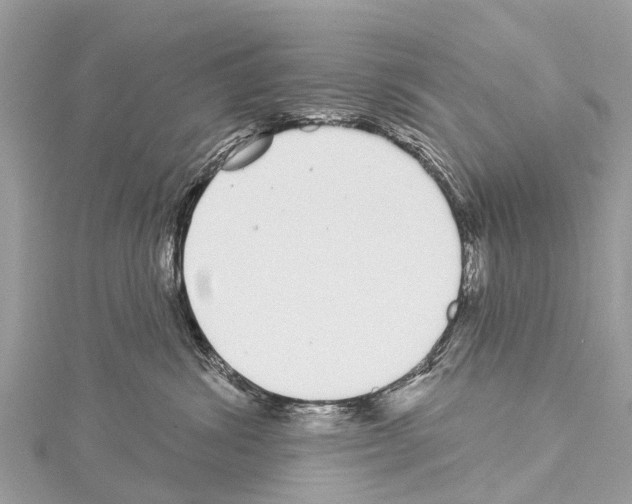 X0000114160428200911191229