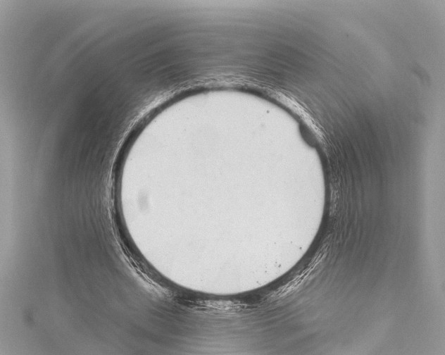 X0000114160439200911191229