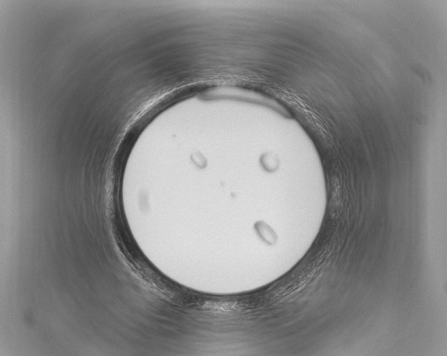 X0000114160440200911191229