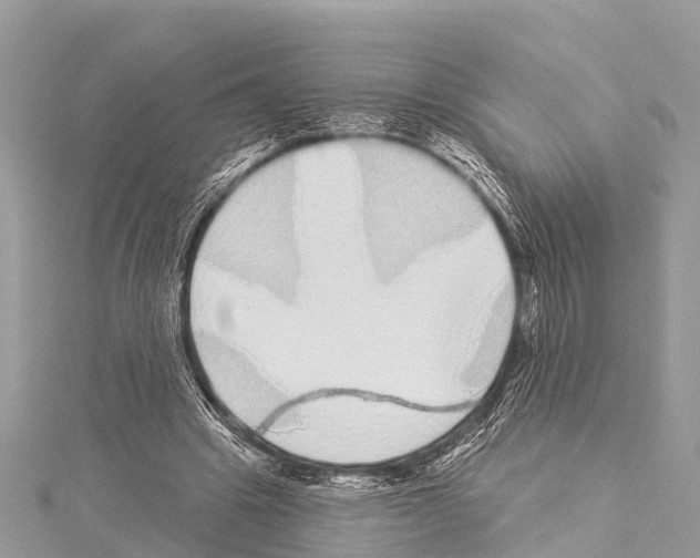 X0000114160441200911191229