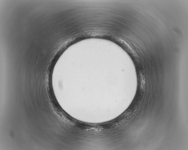X0000114160447200911191229
