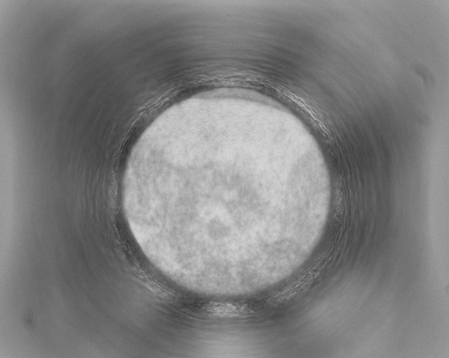 X0000114160453200911191229