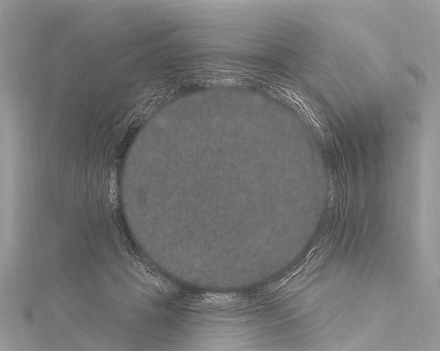 X0000114160457200911191229