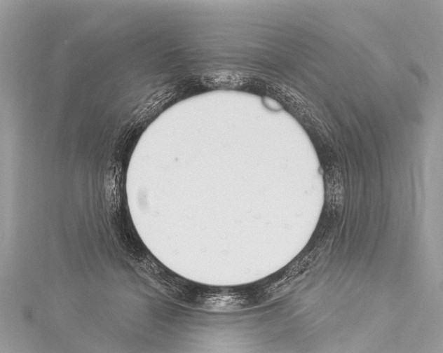 X0000114160460200911191229
