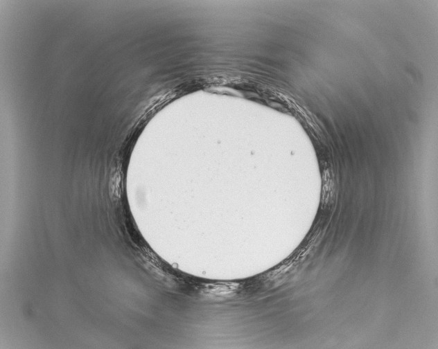 X0000114160474200911191229