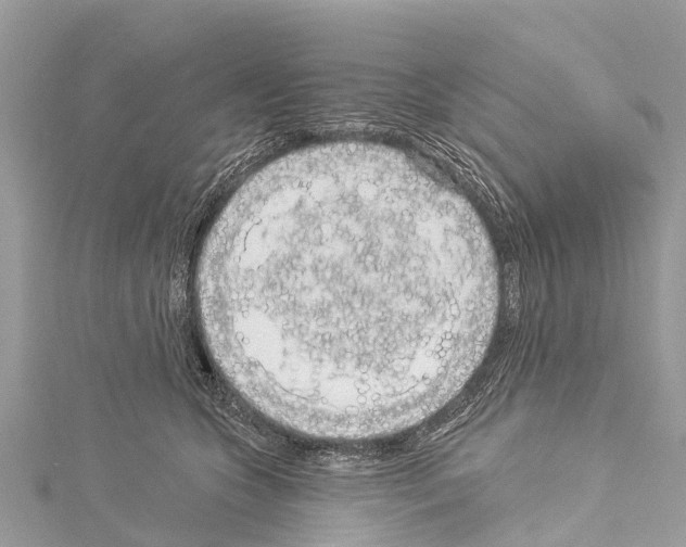 X0000114160563200911191228