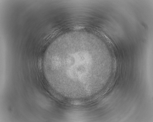 X0000114160565200911191228
