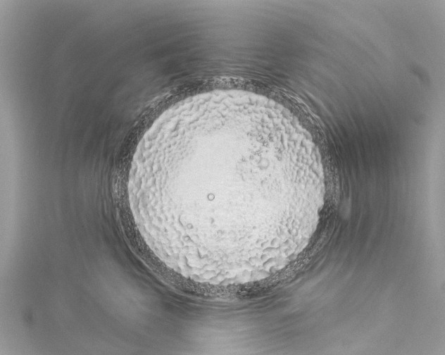 X0000114160569200911191228