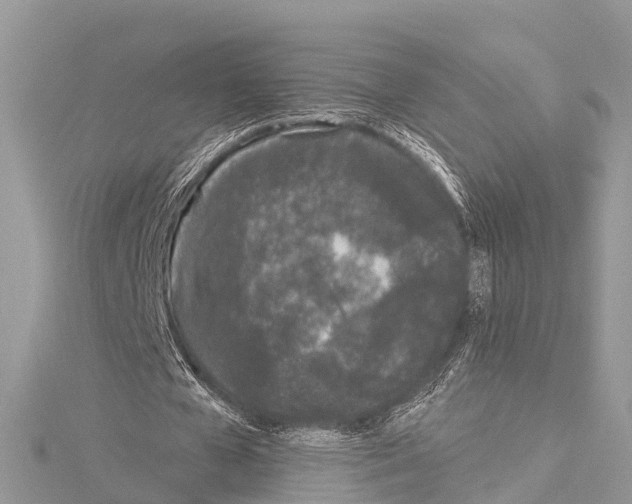 X0000114160577200911191227