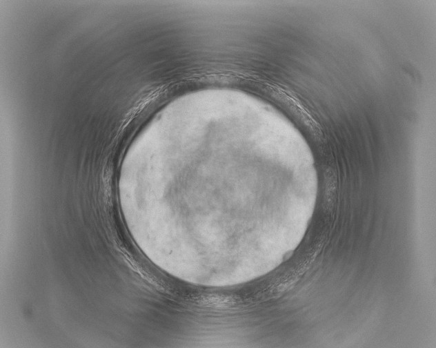 X0000114160585200911191227