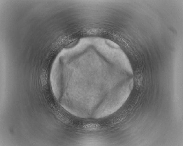 X0000114160593200911191227