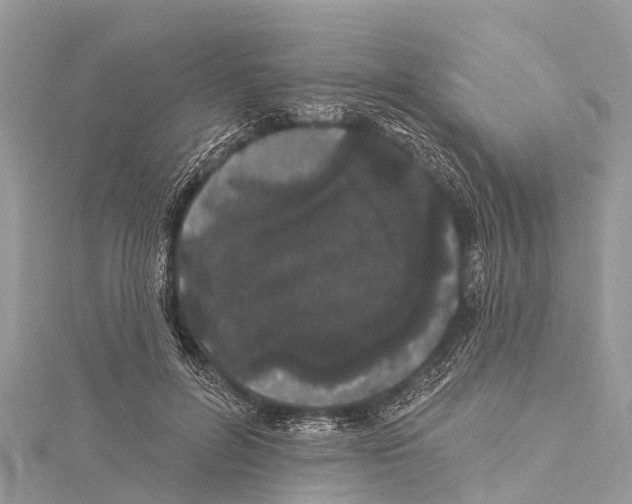 X0000114160600200911191227