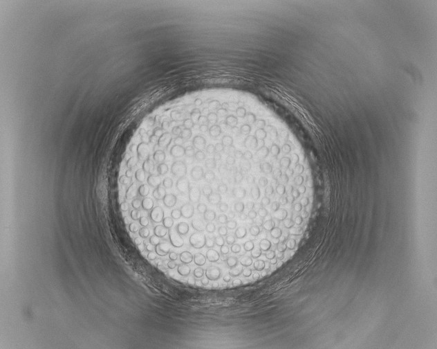 X0000114160626200911191226