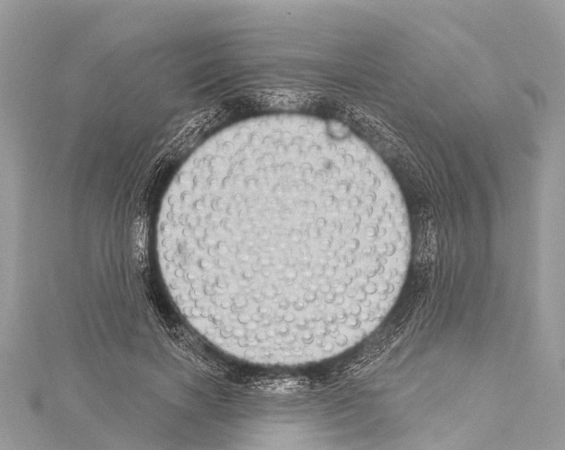 X0000114160646200911191226