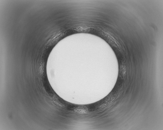 X0000114160652200911191226