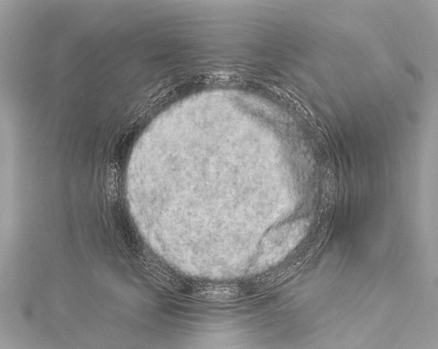 X0000114160659200911191226