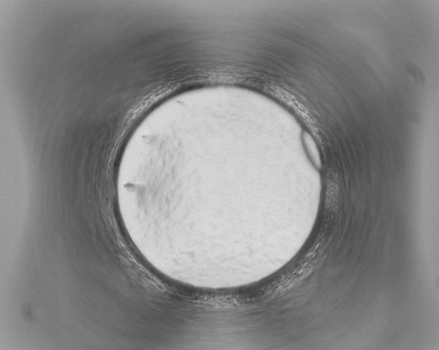X0000114160673200911191226