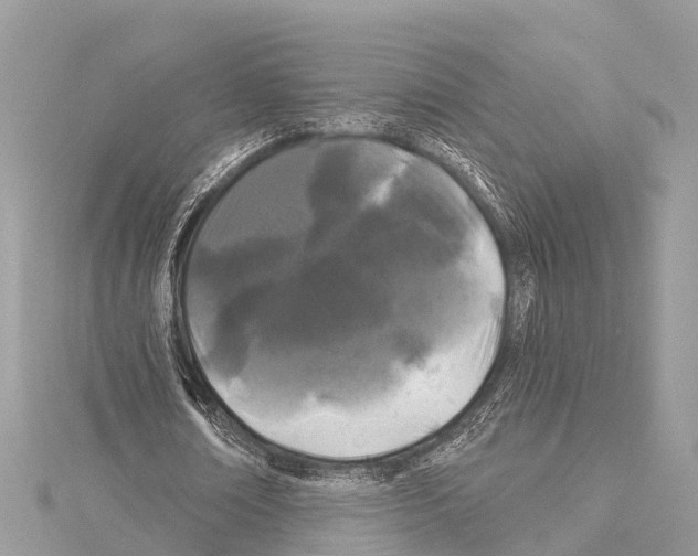 X0000114160674200911191226