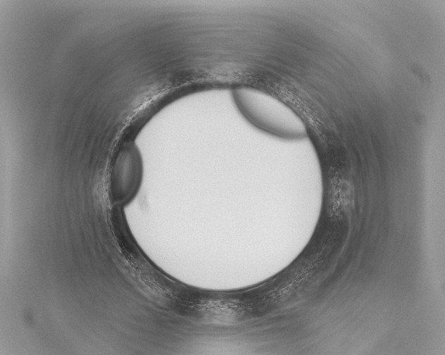 X0000114160680200911191226
