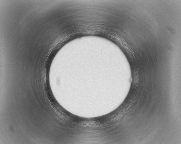 X0000114160685200911191226