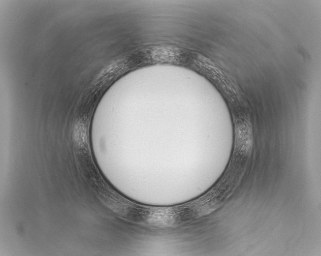X0000114160705200911191225