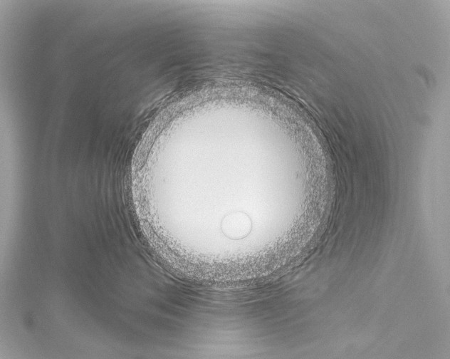 X0000114160720200911191225