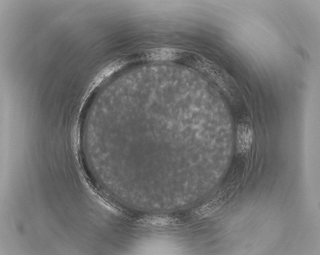 X0000114160726200911191225
