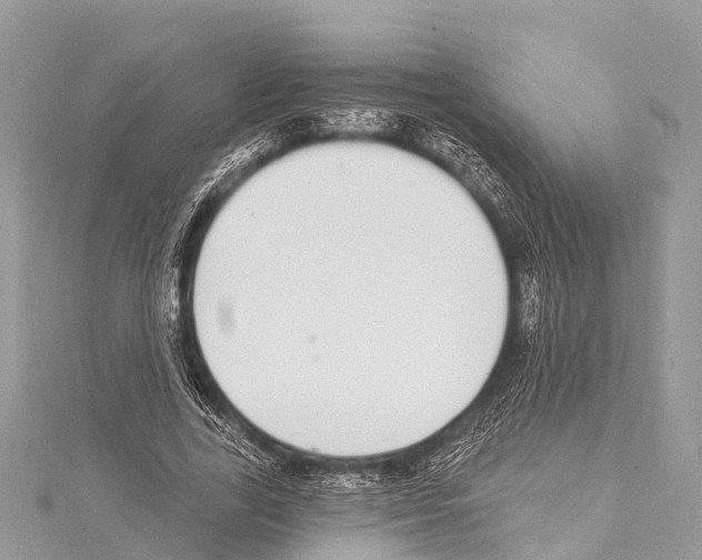 X0000114160731200911191225
