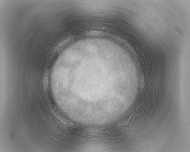 X0000114160733200911191225