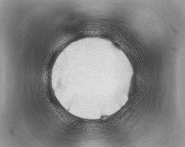 X0000114160735200911191225