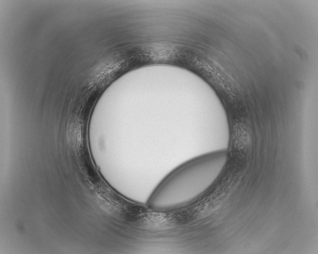 X0000114160740200911191225