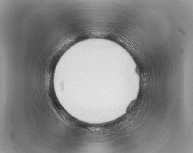 X0000114160742200911191225