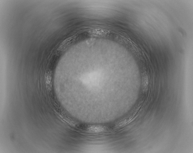 X0000114160749200911191225