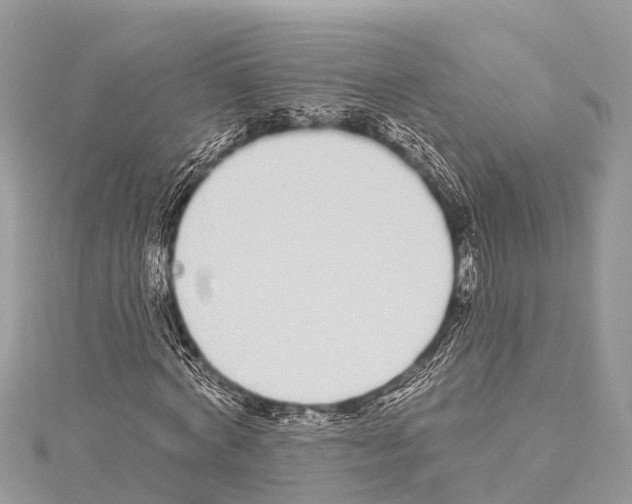 X0000114160772200911191225