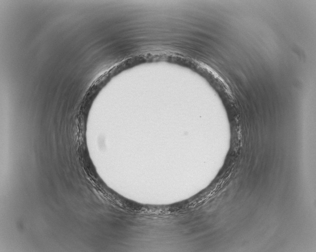 X0000114160775200911191225