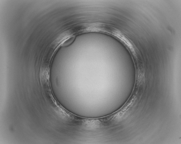 X0000114160809200911191224