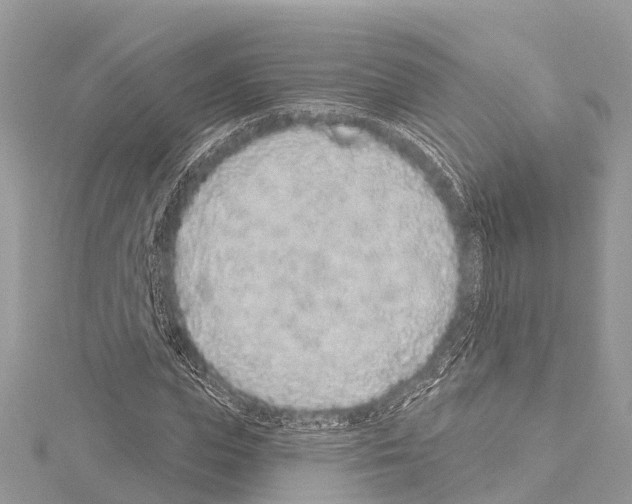 X0000114160823200911191223