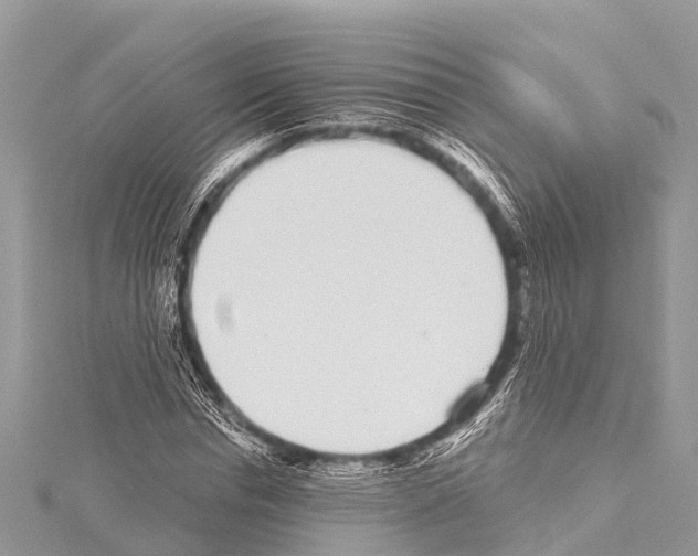 X0000114160826200911191224