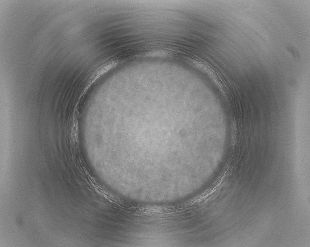 X0000114160827200911191224