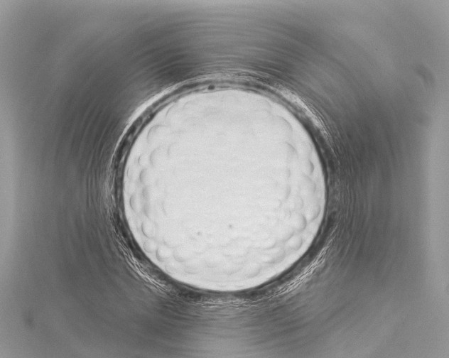 X0000114160830200911191224