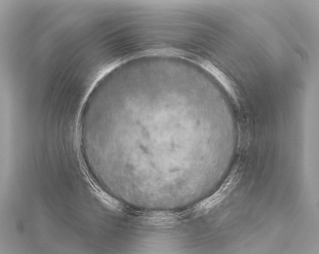 X0000114160832200911191224