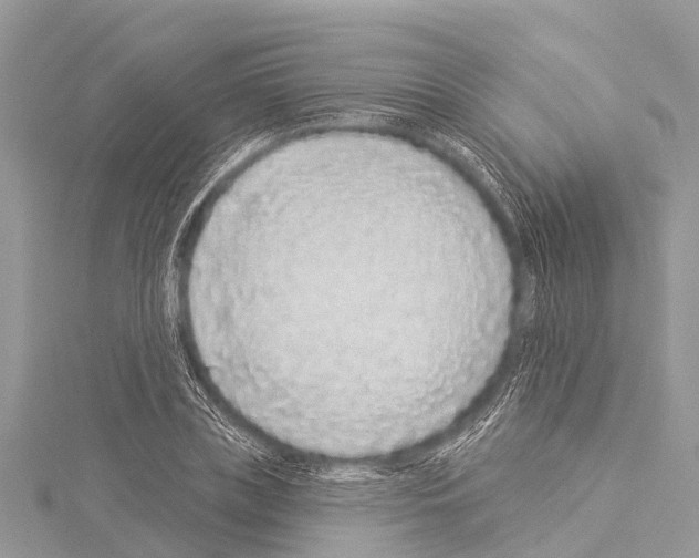 X0000114160835200911191224