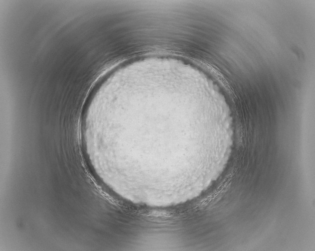 X0000114160839200911191224