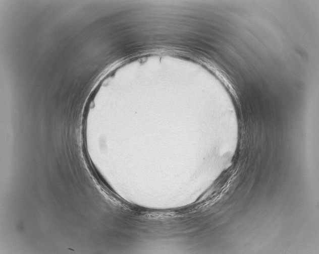 X0000114160853200911191224